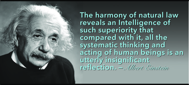 Natural law - Einstein agrees