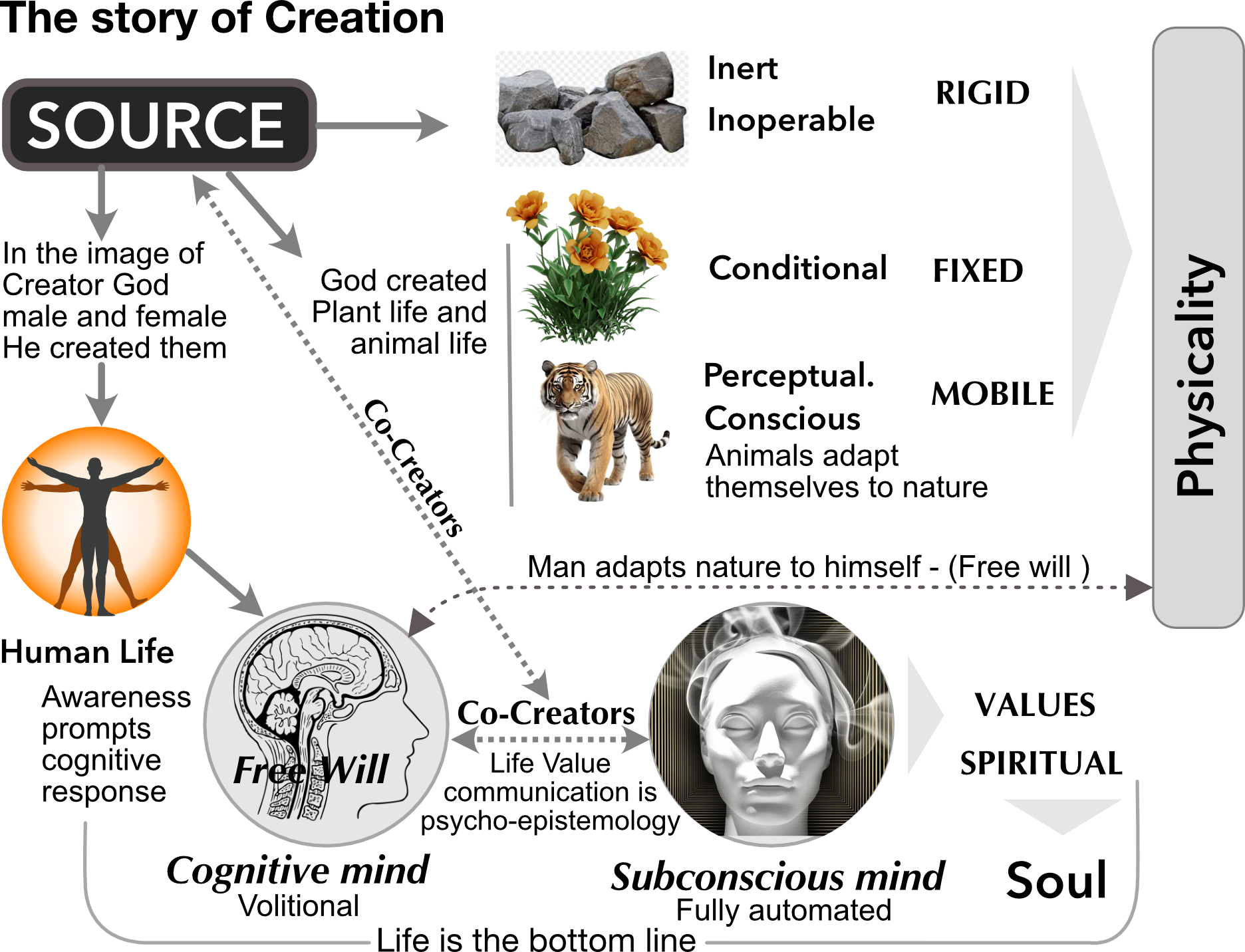 Creation - Ladder of life Image