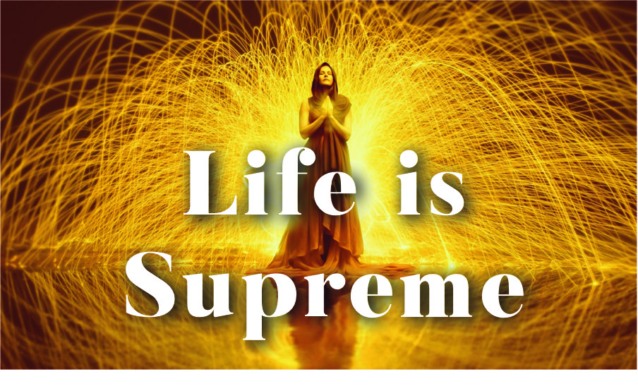 Life is Supreme graphic